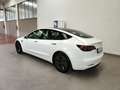 Tesla Model 3 Long Range Dual Motor AWD Tetto Pelle Auto Pilot Blanc - thumbnail 9