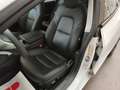 Tesla Model 3 Long Range Dual Motor AWD Tetto Pelle Auto Pilot Blanc - thumbnail 4