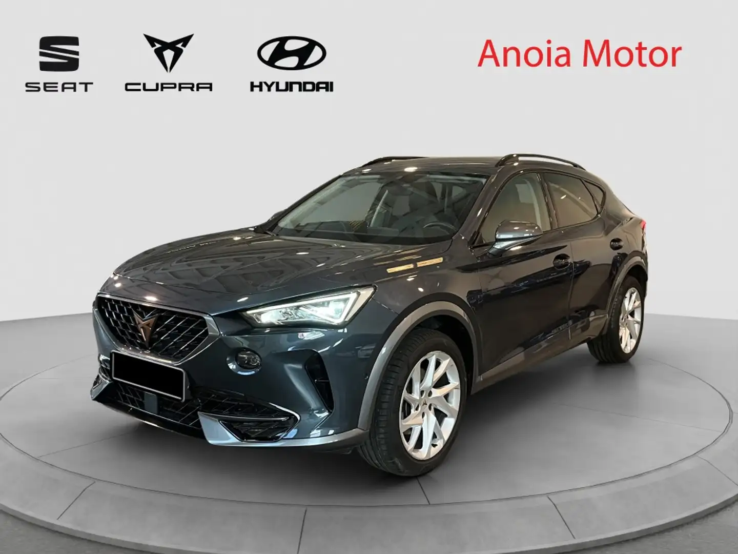 CUPRA Formentor 1.5 TSI 150 Gris - 1
