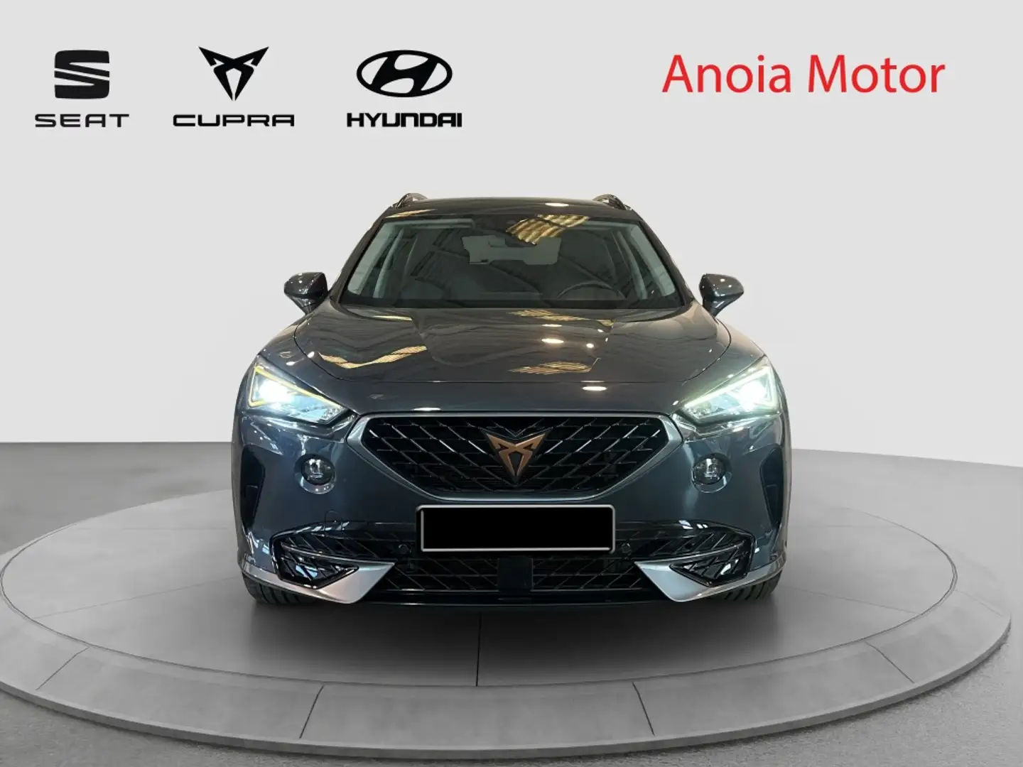 CUPRA Formentor 1.5 TSI 150 Gris - 2