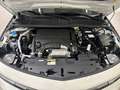 Opel Astra ST 1.2 Turbo GS Autom. Infotainment-Paket Tech-Pak Weiß - thumbnail 14