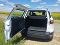 Ford EcoSport ECOSPORT 1.0 EcoBoost COOL Weiß - thumbnail 11