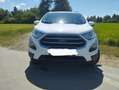 Ford EcoSport ECOSPORT 1.0 EcoBoost COOL Weiß - thumbnail 4