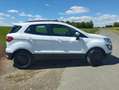 Ford EcoSport ECOSPORT 1.0 EcoBoost COOL Weiß - thumbnail 12