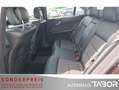 Mercedes-Benz E 250 E250 CGI Lim Avantgarde Aut. Navi PDC Xenon Temp - thumbnail 10