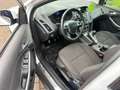 Ford Focus Wit - thumbnail 2