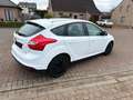 Ford Focus Wit - thumbnail 6