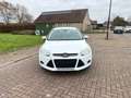 Ford Focus Wit - thumbnail 9