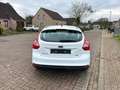 Ford Focus Wit - thumbnail 7