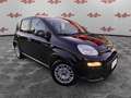 Fiat Panda Panda 1.0 FireFly Hybrid, PRONTA CONSEGNA! Nero - thumbnail 1