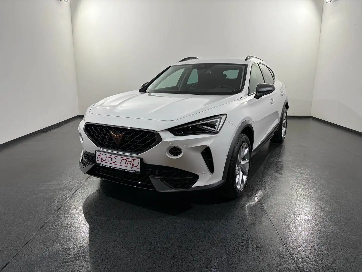 CUPRA Formentor 2.0 TDI 4Drive DSG *LED*AHK*ACC* Weiß - 2