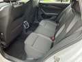 Skoda Octavia Wagon 2.0 tdi evo Style 150cv dsg UNIPROPRIETARIO! Wit - thumbnail 6