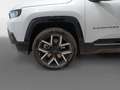 Jeep Compass Full Electric   BEV First Edi Blanco - thumbnail 15