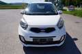Kia Picanto 1,0 MPI Cool Weiß - thumbnail 1