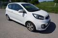 Kia Picanto 1,0 MPI Cool Weiß - thumbnail 2