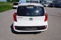 Kia Picanto 1,0 MPI Cool Weiß - thumbnail 5