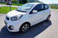 Kia Picanto 1,0 MPI Cool Weiß - thumbnail 3