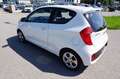 Kia Picanto 1,0 MPI Cool Weiß - thumbnail 6