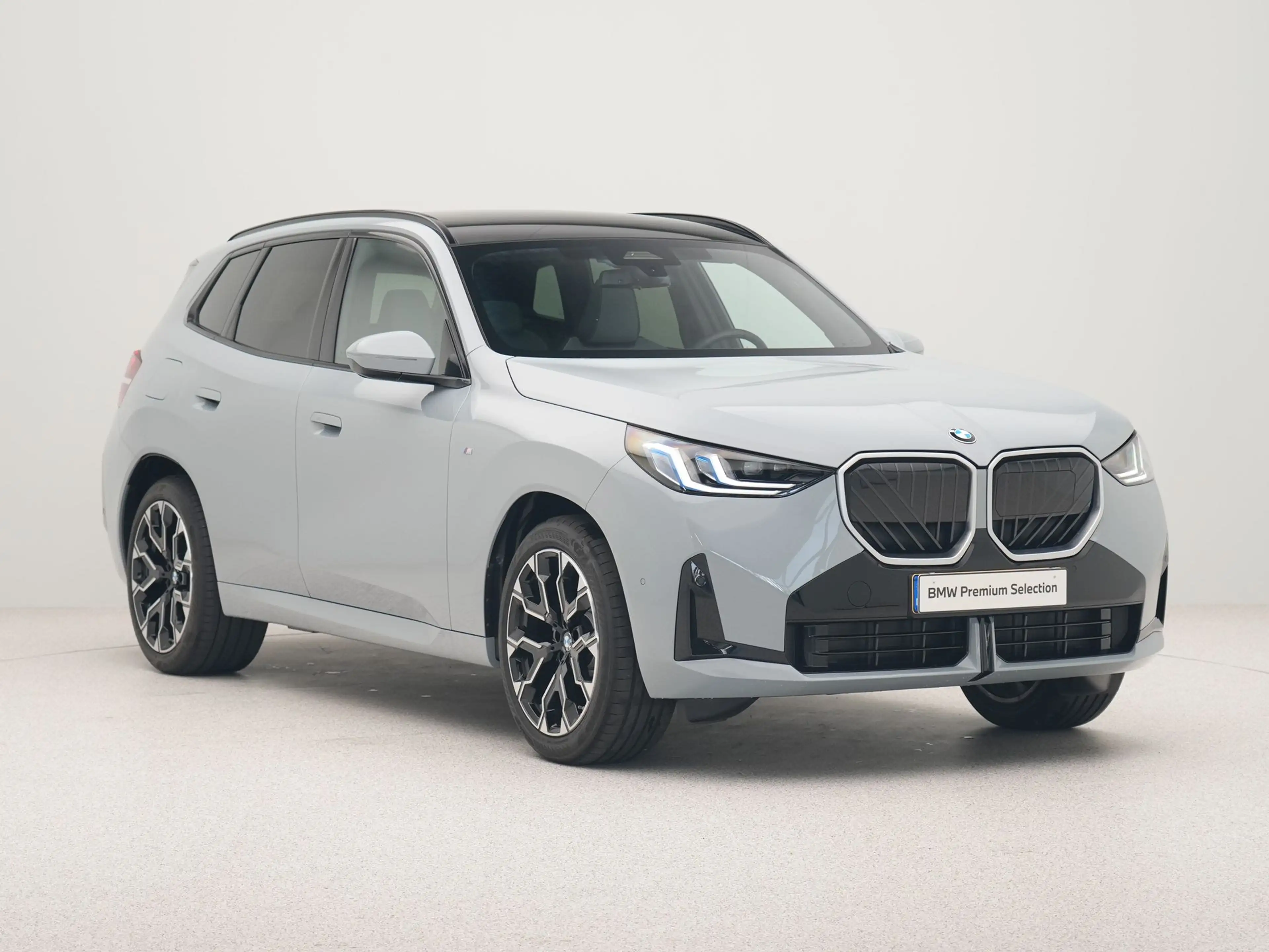BMW X3 30e xDrive SoH 100% — photo 6
