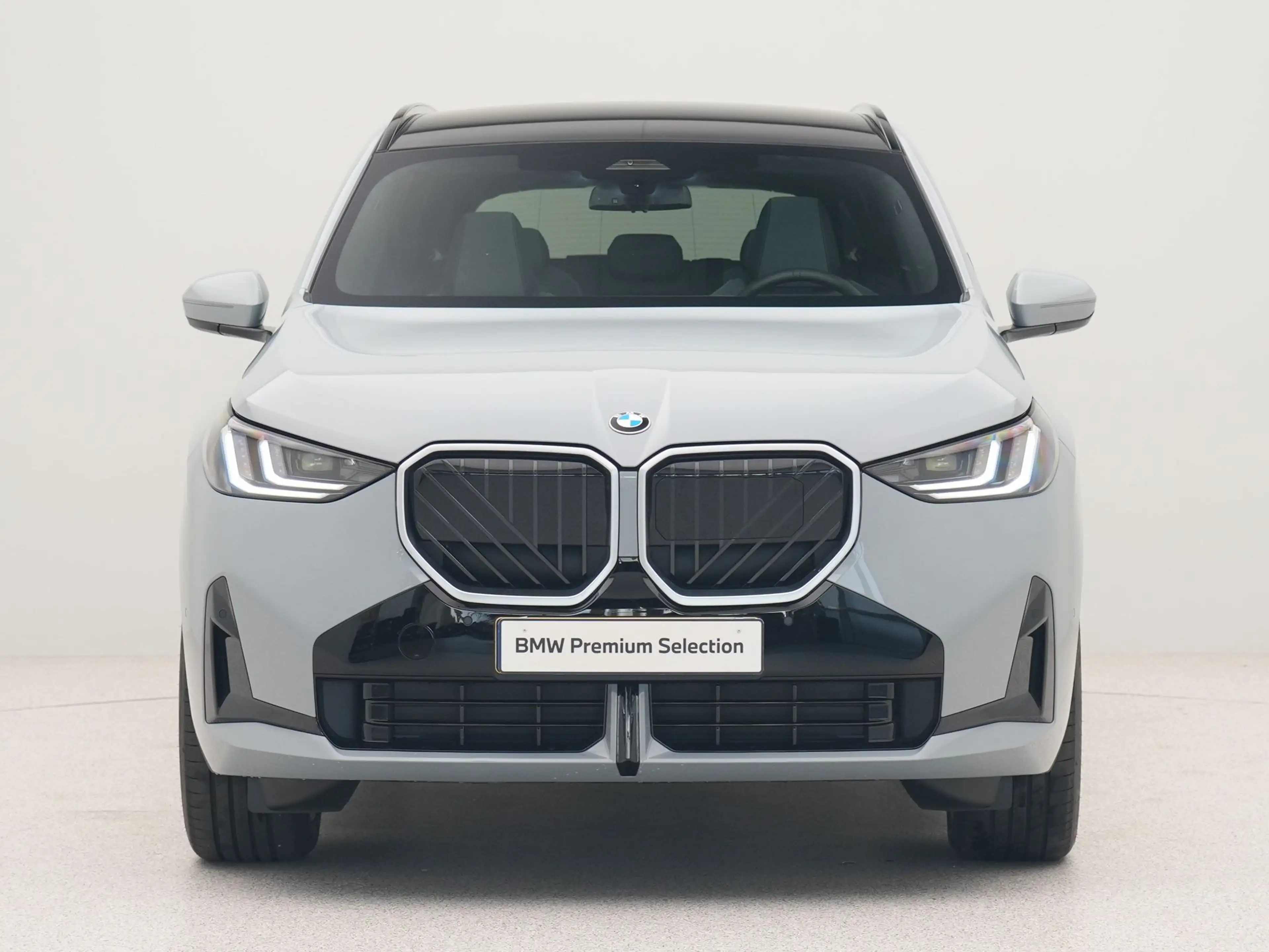BMW X3 30e xDrive SoH 100% — photo 5