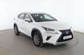 Lexus NX 300h Blanc - thumbnail 8