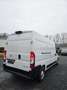 Opel Movano 2.2 CDTI L3H2 3,5t-Camera-Navi/Pdc-Cruis - thumbnail 3