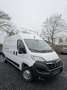 Opel Movano 2.2 CDTI L3H2 3,5t-Camera-Navi/Pdc-Cruis - thumbnail 1