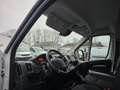 Opel Movano 2.2 CDTI L3H2 3,5t-Camera-Navi/Pdc-Cruis - thumbnail 10