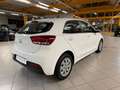 Kia Rio Edition 7|SHZ|LHZ|PDC|DAB|Klima|Tempomat|BT Weiß - thumbnail 6