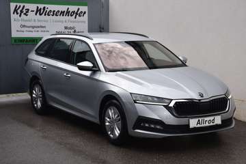 2.0 TDI 4x4 DSG Ambition / Anhängerkupplung / Kam