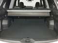 Subaru Forester 2.0ie Platinum 100 kW, MJ25 Gold - thumbnail 6