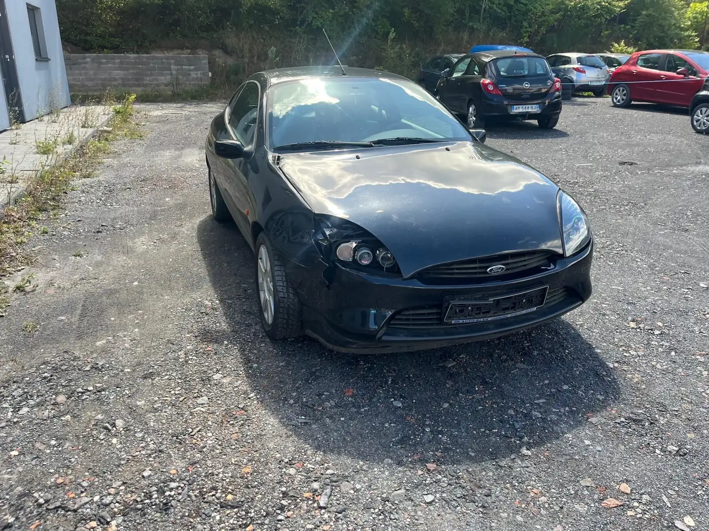 Ford Puma Nero - 1
