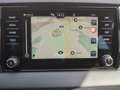 Skoda Karoq Selection TDI DSG Grau - thumbnail 24