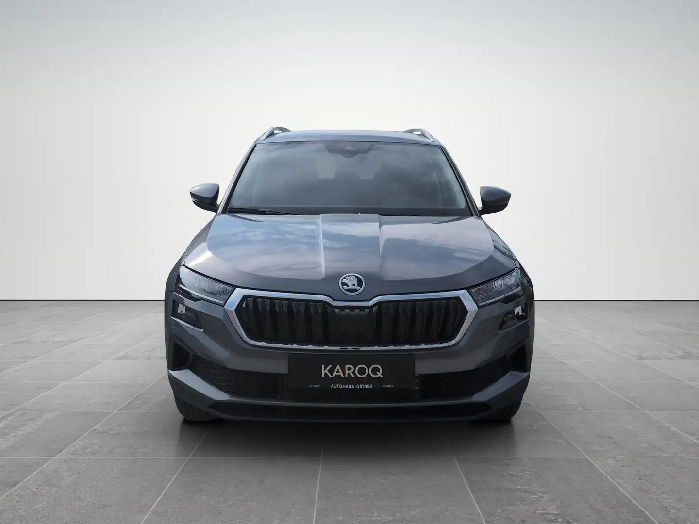 Skoda Karoq Selection TDI DSG Grau - 2