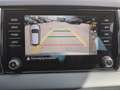 Skoda Karoq Selection TDI DSG Grau - thumbnail 25