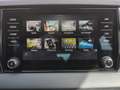 Skoda Karoq Selection TDI DSG Grau - thumbnail 21