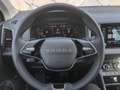 Skoda Karoq Selection TDI DSG Grau - thumbnail 16