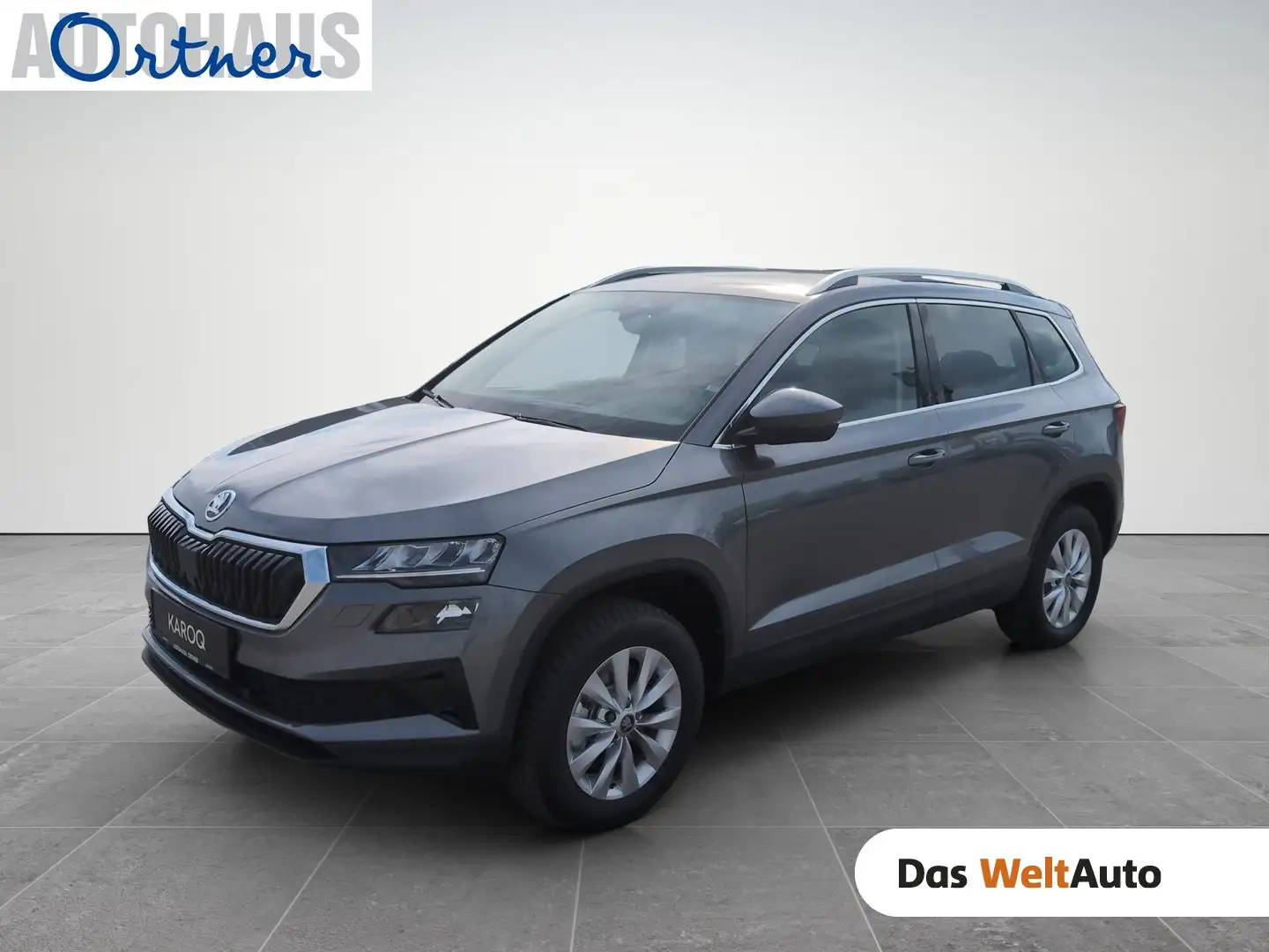 Skoda Karoq Selection TDI DSG Grau - 1