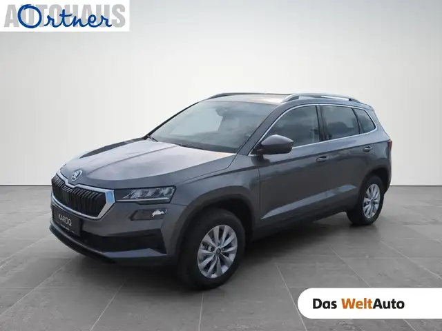 Skoda Karoq Selection TDI DSG