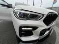 BMW X6 3.0 dAS xDrive30 AdBlue - thumbnail 2