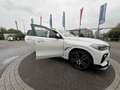 BMW X6 3.0 dAS xDrive30 AdBlue - thumbnail 6