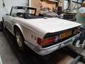 Oldtimer Triumph Triumph TR6 2.5L in lijn / overdrive Wit - thumbnail 3