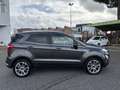Ford EcoSport 1.5 Ecoblue 95 CV Start&Stop Titanium Grigio - thumbnail 9