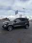 Ford EcoSport 1.5 Ecoblue 95 CV Start&Stop Titanium Grigio - thumbnail 3