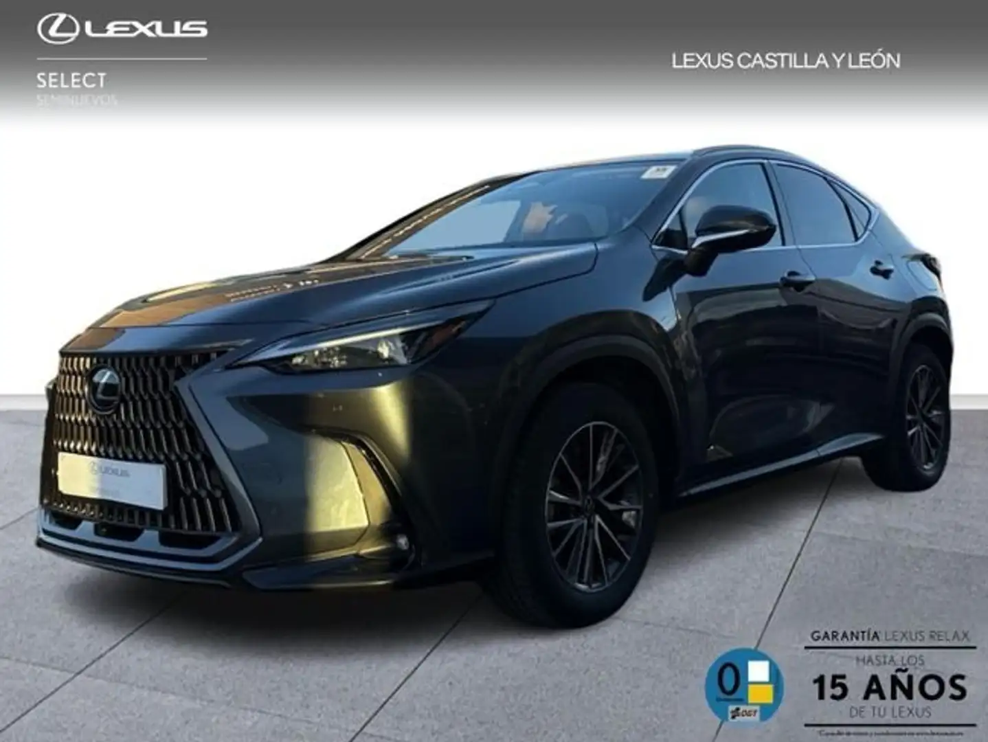 Lexus NX 450h+ 450H + PREMIUM+ 4WD Gris - 1