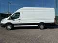Ford Transit 350 2.0 Tdci EcoBlue 170 CV H3 L4 JUMBO Bianco - thumbnail 2