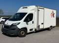 Peugeot Boxer 2,2 HDI ALKO Umbau AMC 35 L Blanco - thumbnail 2