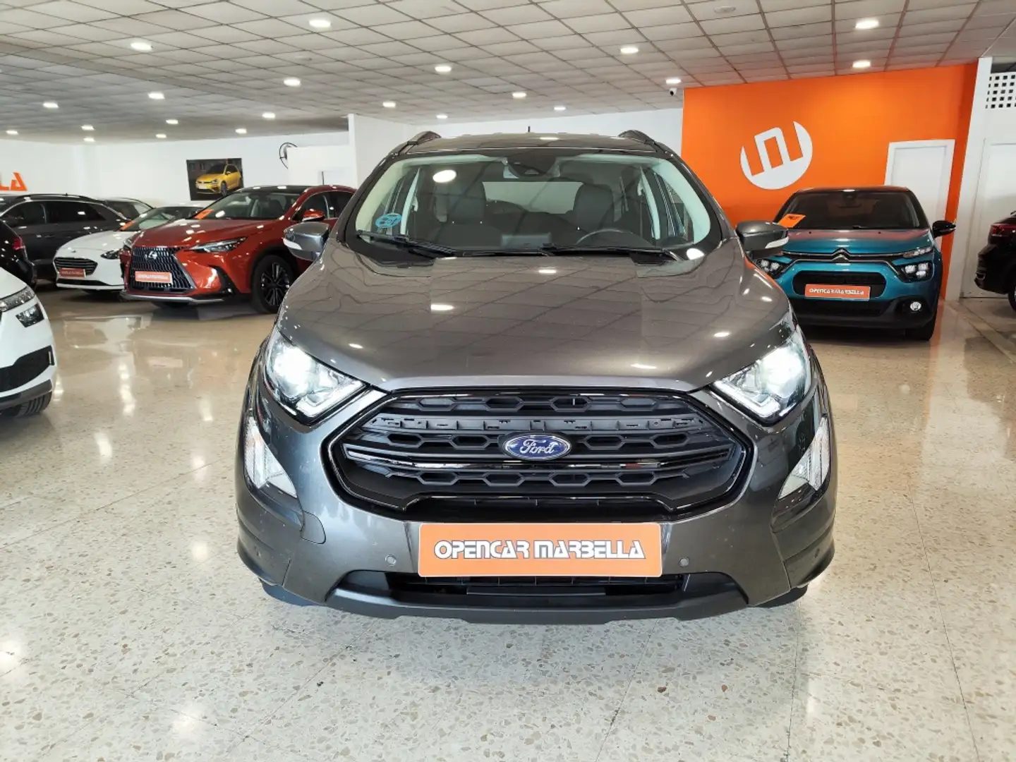 Ford EcoSport 1.0 EcoBoost ST Line 125 Grau - 2