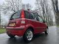 Fiat Panda 1.2 Emotion airco trekhaak nette auto Rouge - thumbnail 4