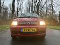 Fiat Panda 1.2 Emotion airco trekhaak nette auto Rouge - thumbnail 48